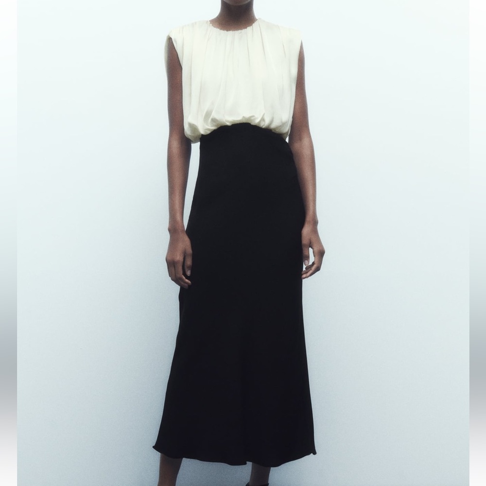 Zara dress